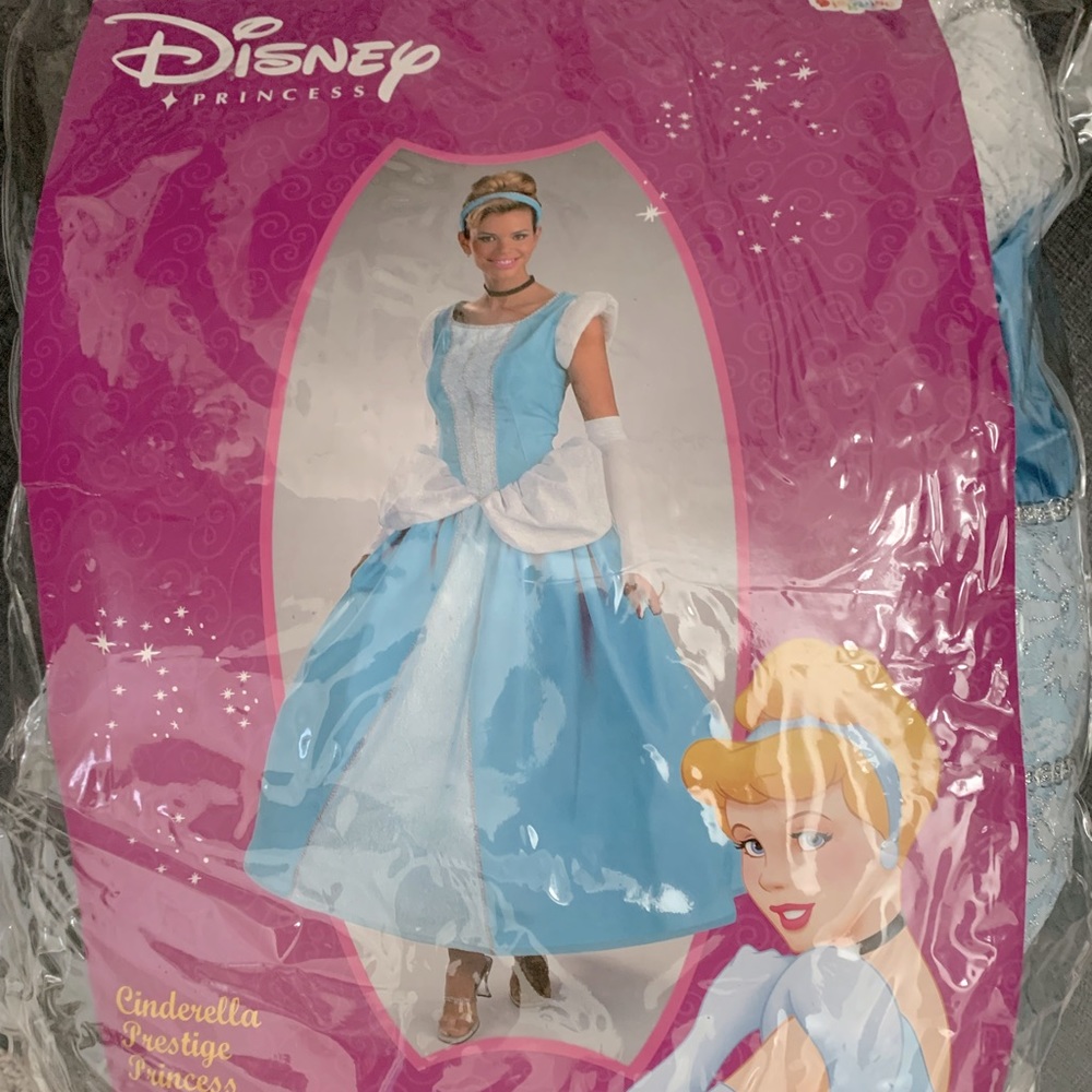 Cinderella Halloween Costume